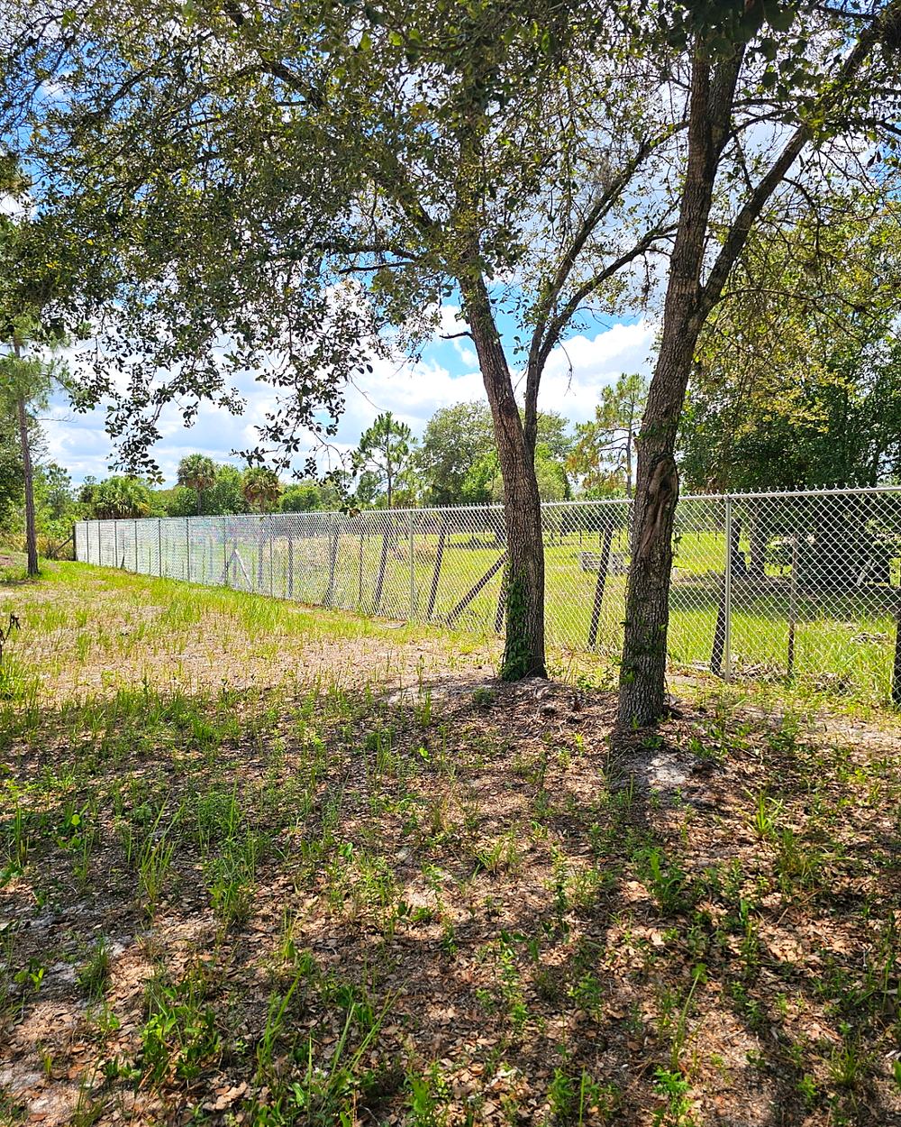 Long-Run Chain Link Fence